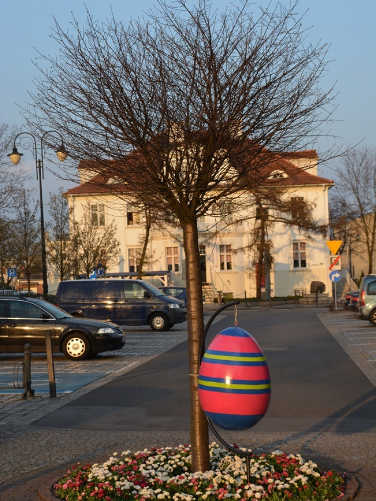 Obsypało pisankami. Wielkanocne dekoracje wróciły na ulice Wrześni