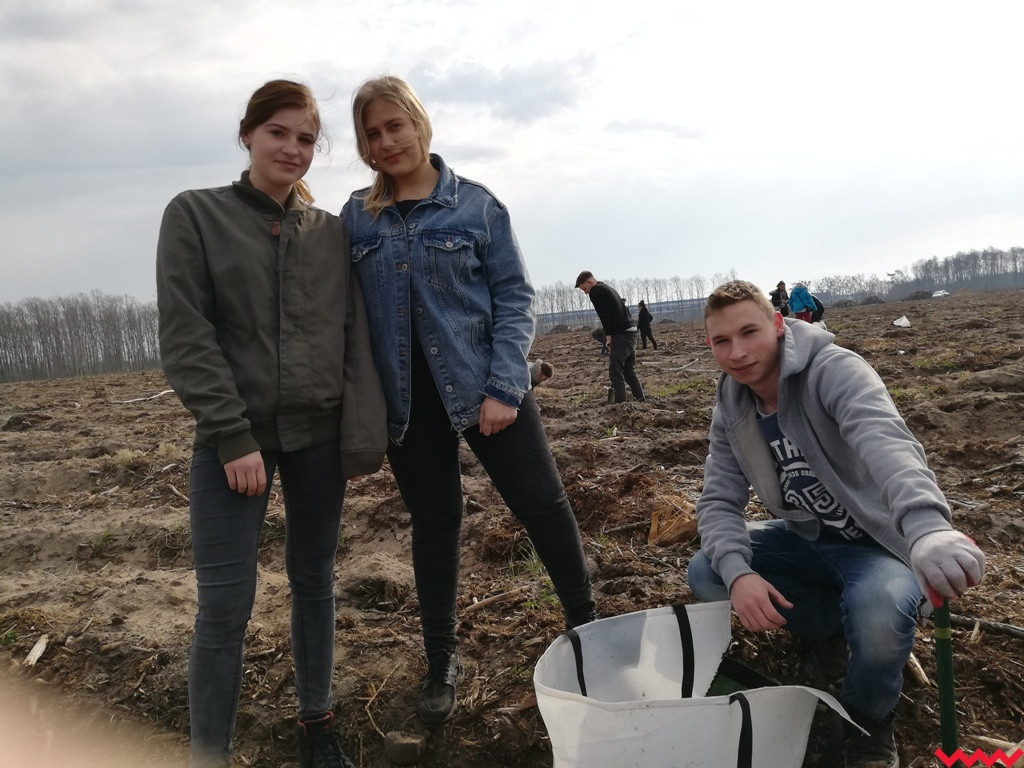 Trwa sadzenie Małpiego Gaju. Do akcji ruszyła Zielona Strona Wrześni z uczniami naszych szkół