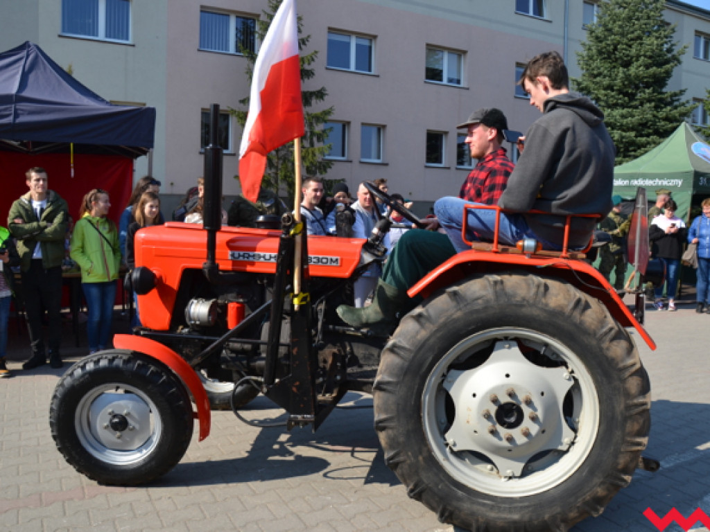 Sensacyjny piknik. Szkoła z Kaliskiej jak plan filmu akcji