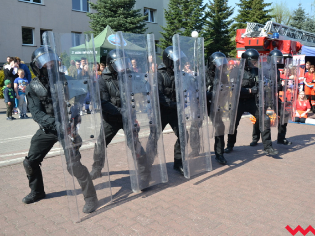 Sensacyjny piknik. Szkoła z Kaliskiej jak plan filmu akcji