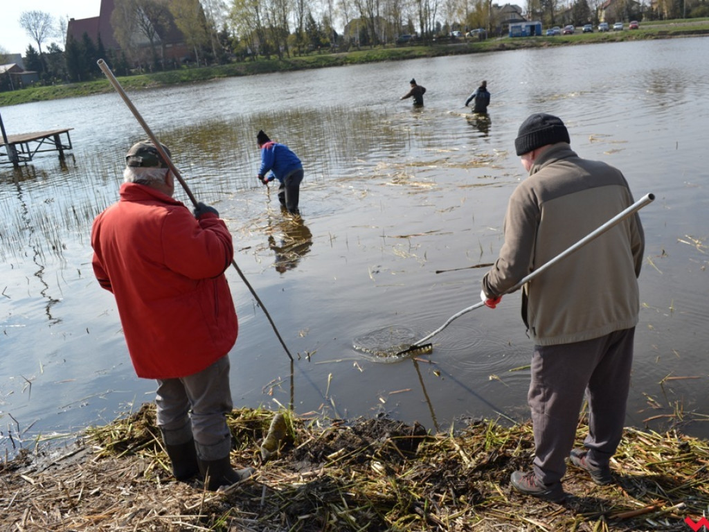 Wzięli sprawy w swoje ręce i posprzątali brzegi Wrześnicy