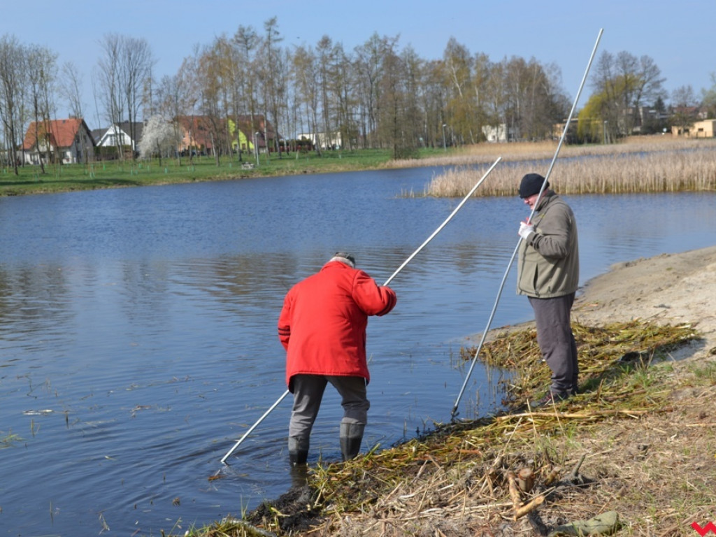 Wzięli sprawy w swoje ręce i posprzątali brzegi Wrześnicy