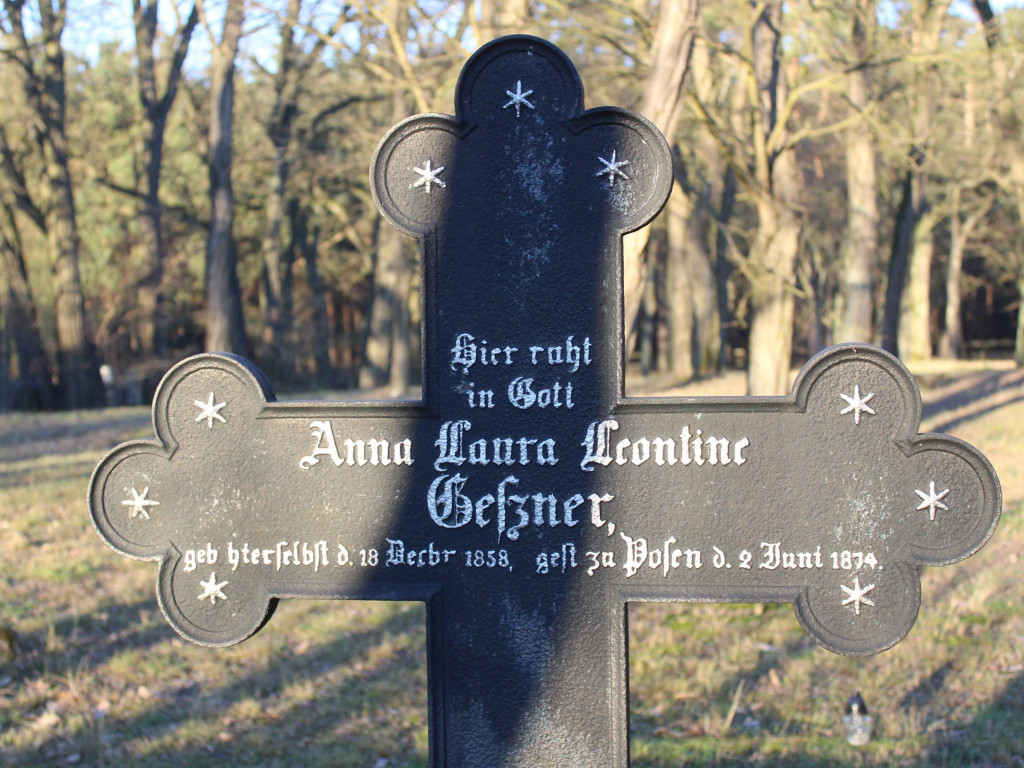 Wyruszamy na szlak (9) - historyczna wyprawa po dawnych śladach osadników olęderskich