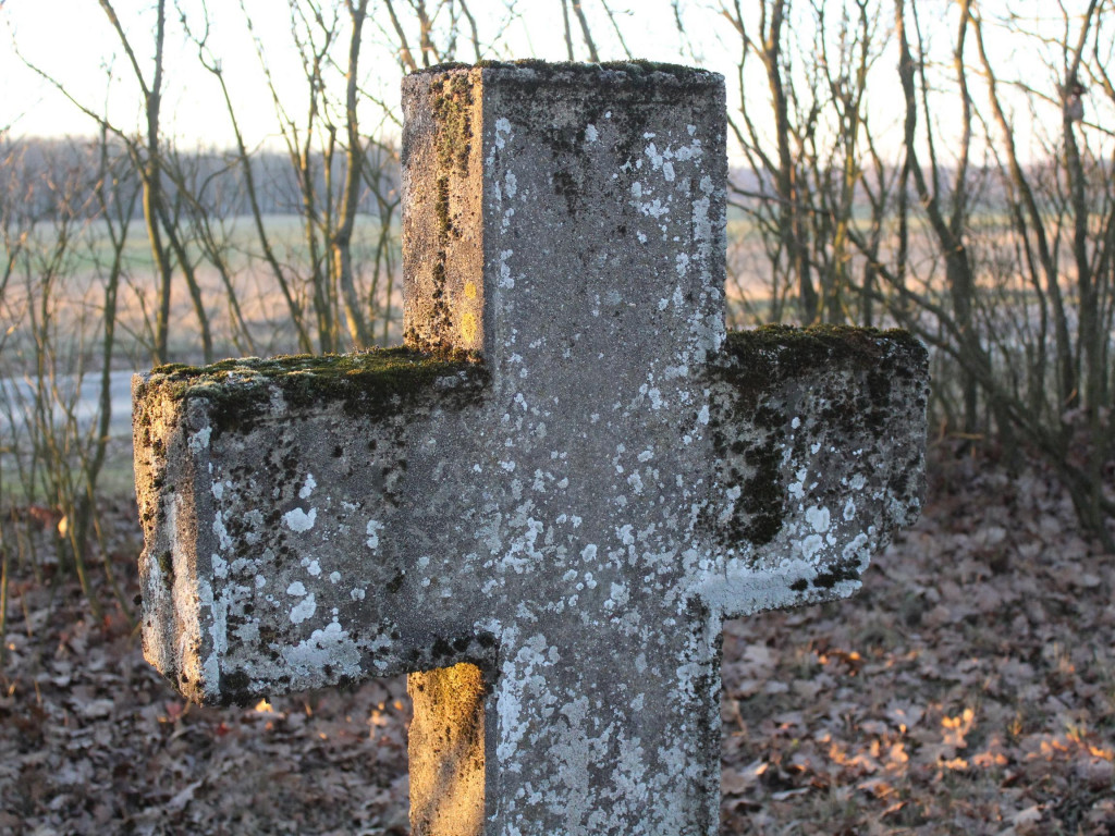 Wyruszamy na szlak (9) - historyczna wyprawa po dawnych śladach osadników olęderskich