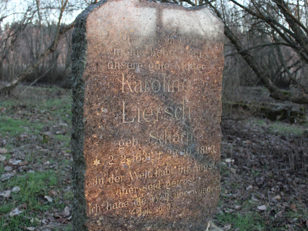 Wyruszamy na szlak (9) - historyczna wyprawa po dawnych śladach osadników olęderskich
