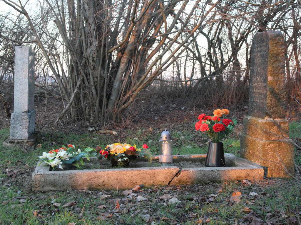 Wyruszamy na szlak (9) - historyczna wyprawa po dawnych śladach osadników olęderskich