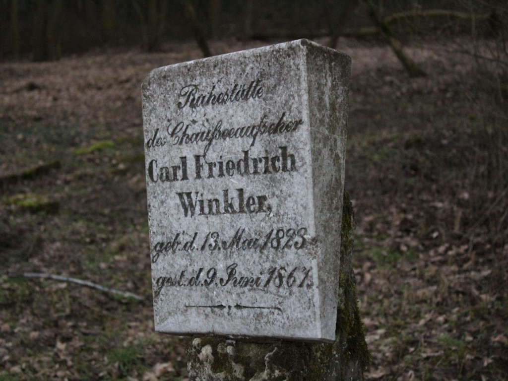 Wyruszamy na szlak (9) - historyczna wyprawa po dawnych śladach osadników olęderskich