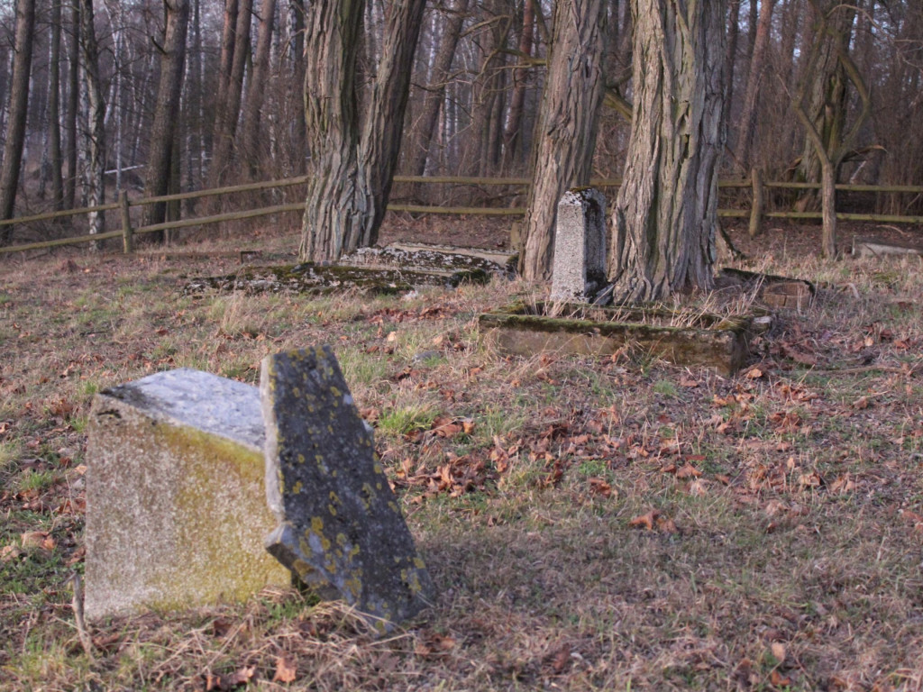 Wyruszamy na szlak (9) - historyczna wyprawa po dawnych śladach osadników olęderskich