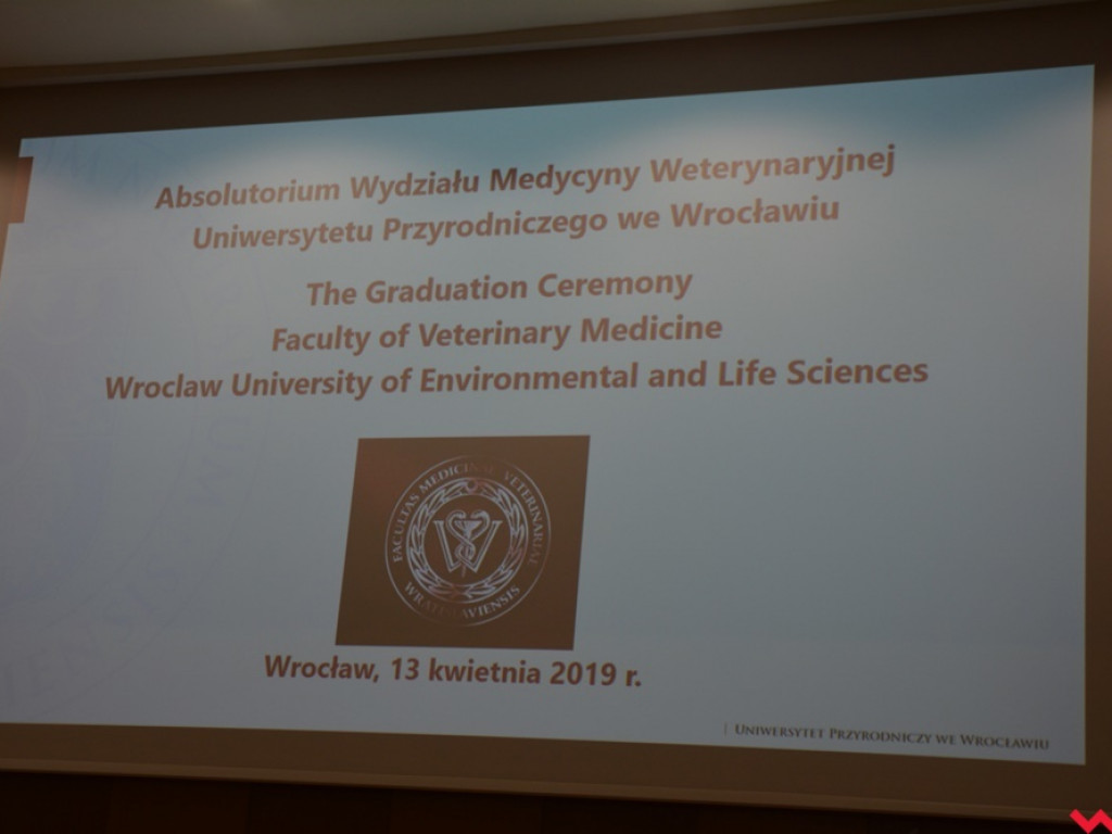 Nauczycielka ZSTiO odznaczona za zasługi dla wrocławskiego wydziału