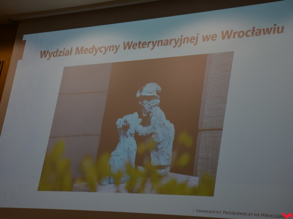 Nauczycielka ZSTiO odznaczona za zasługi dla wrocławskiego wydziału