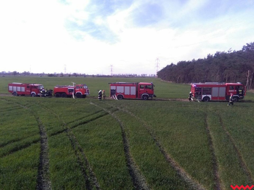 Pożar lasu w Bieczewie, interweniowało pięć jednostek straży