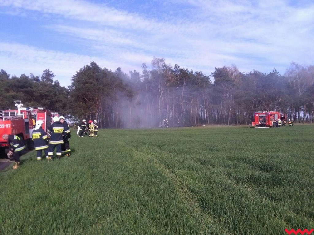 Pożar lasu w Bieczewie, interweniowało pięć jednostek straży