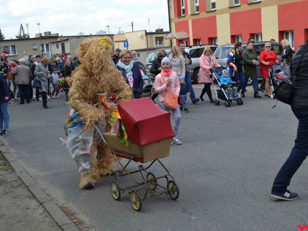Harce z niedźwiedziami na ulicach Czerniejewa. Przebierańcy przywitali wiosnę
