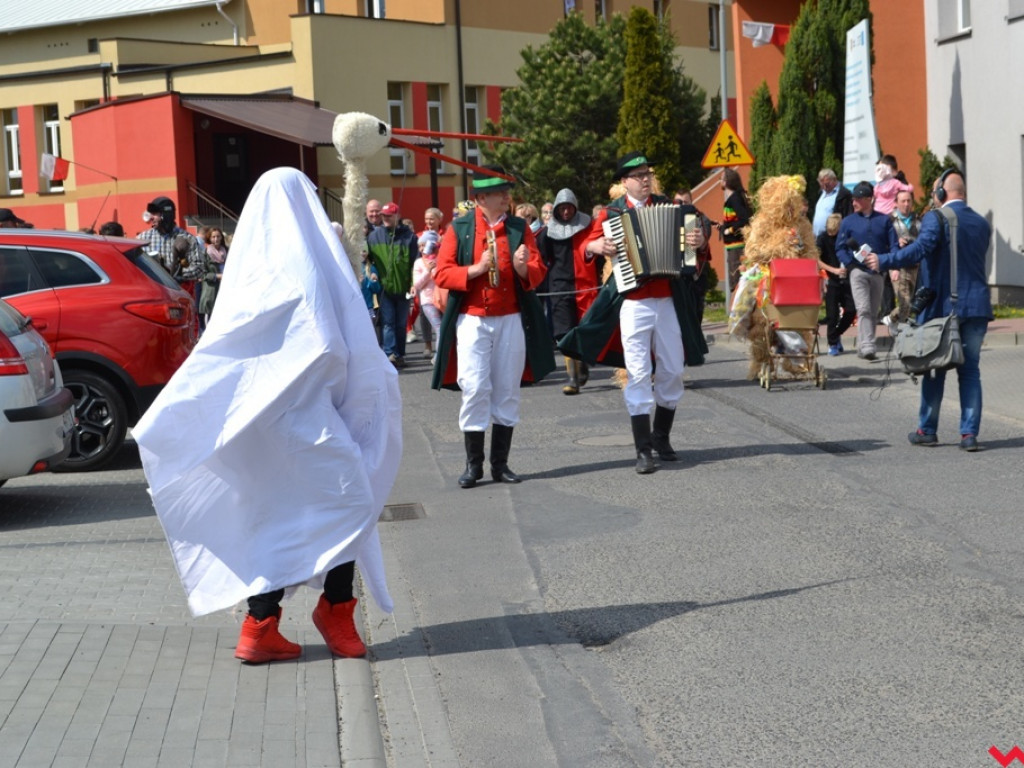 Harce z niedźwiedziami na ulicach Czerniejewa. Przebierańcy przywitali wiosnę
