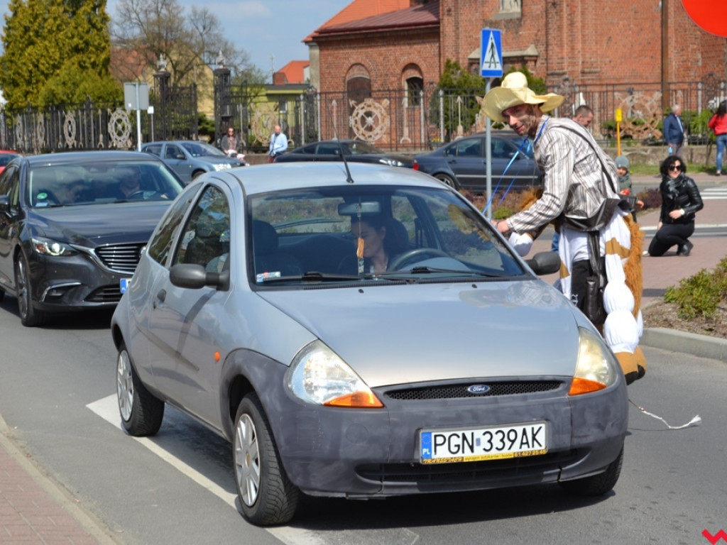 Harce z niedźwiedziami na ulicach Czerniejewa. Przebierańcy przywitali wiosnę