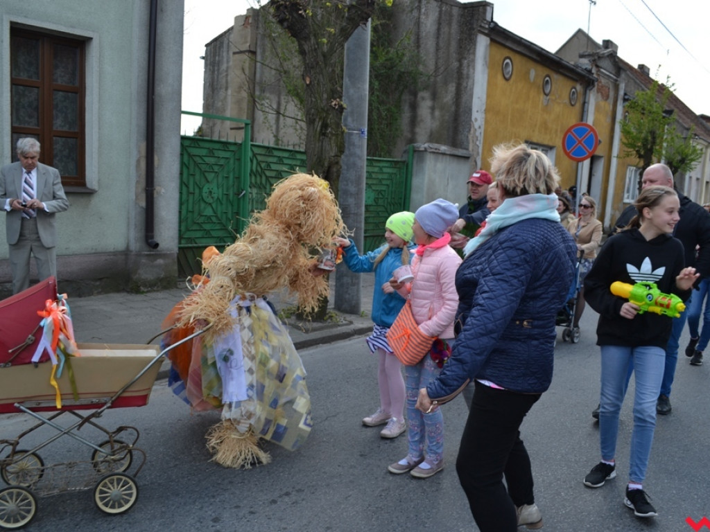 Harce z niedźwiedziami na ulicach Czerniejewa. Przebierańcy przywitali wiosnę