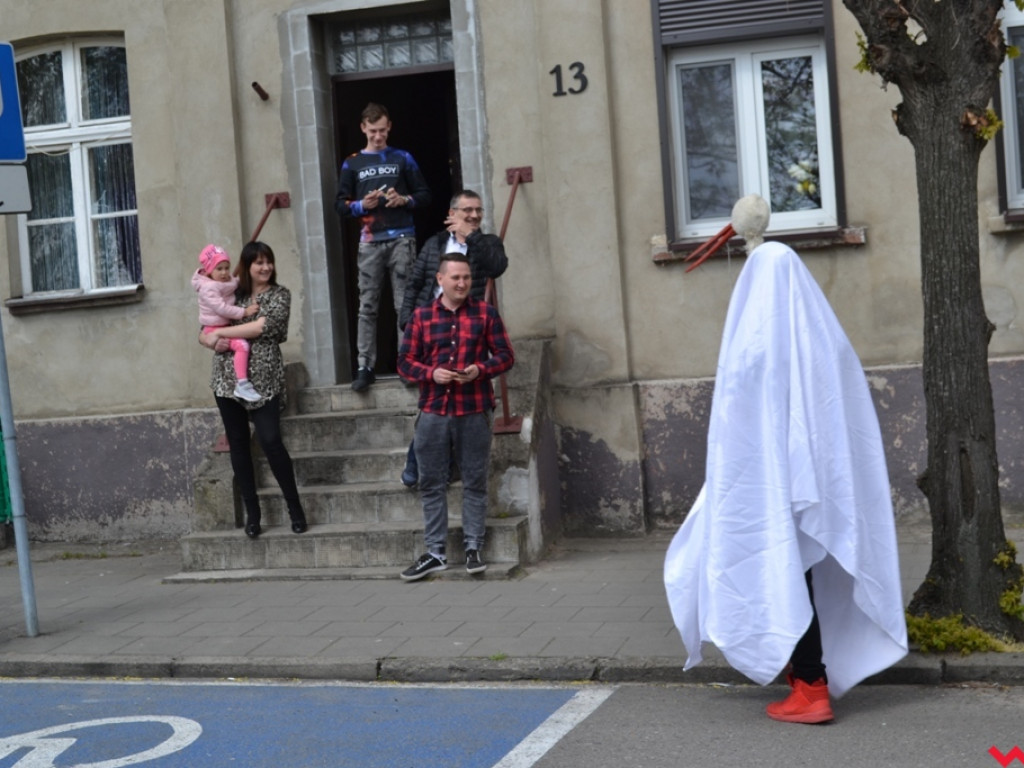 Harce z niedźwiedziami na ulicach Czerniejewa. Przebierańcy przywitali wiosnę
