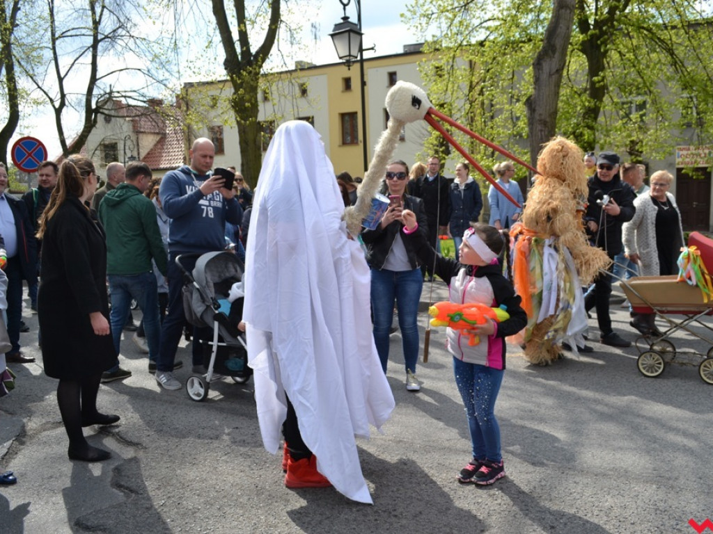 Harce z niedźwiedziami na ulicach Czerniejewa. Przebierańcy przywitali wiosnę