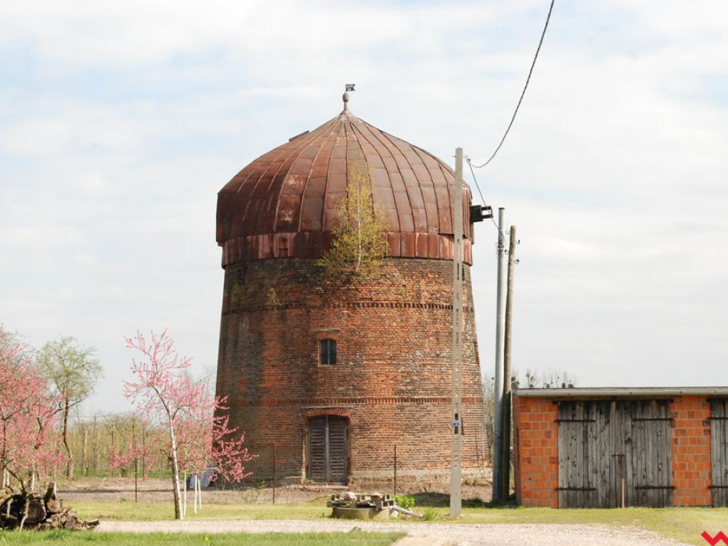 Remont wiatraka holenderskiego w Pyzdrach. Na początek kuracja gazem