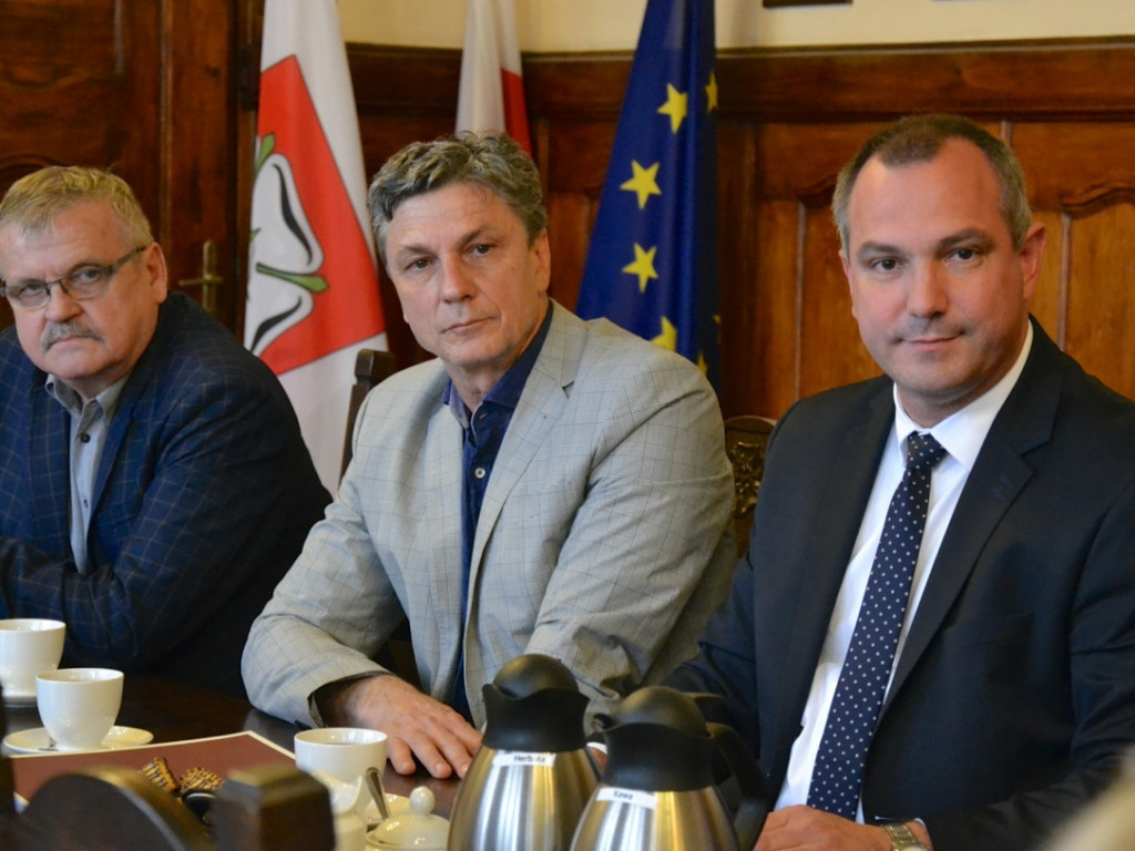 Ratusz wylewa kubeł zimnej wody na zwolenników programu sterylizacji zwierząt