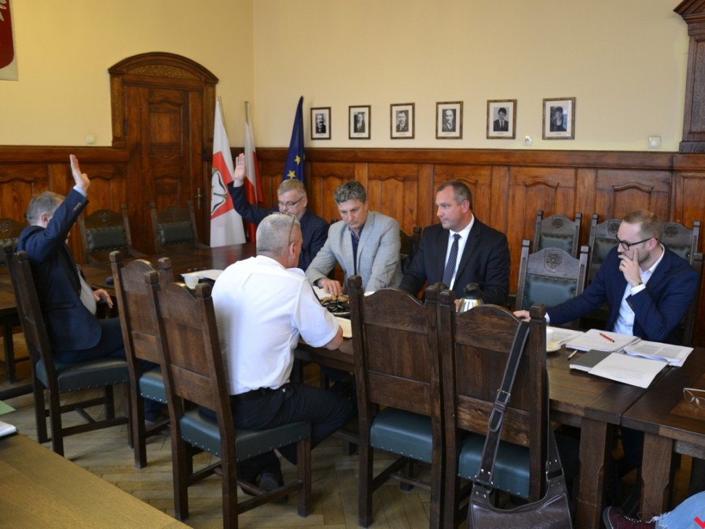 Ratusz wylewa kubeł zimnej wody na zwolenników programu sterylizacji zwierząt