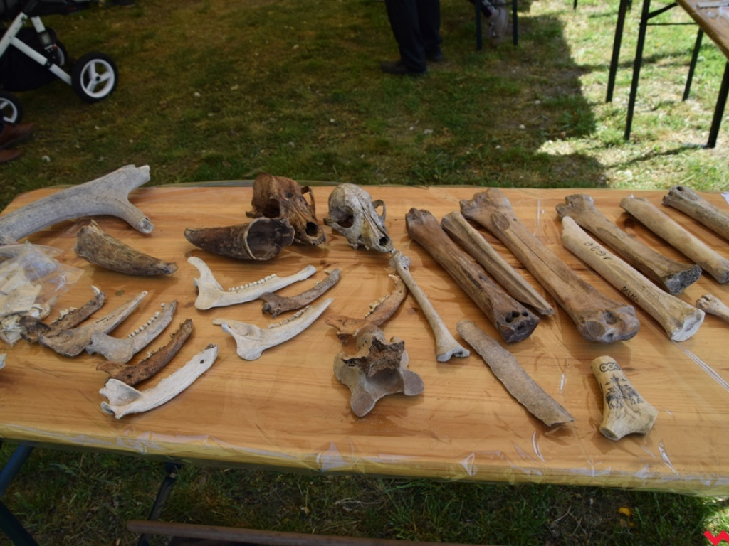 Gród w Grzybowie zaprasza na rodzinny piknik z historią w tle