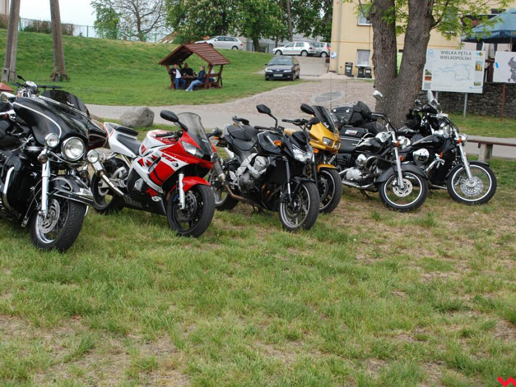 Pyzdrzanie grillowali nad Wartą