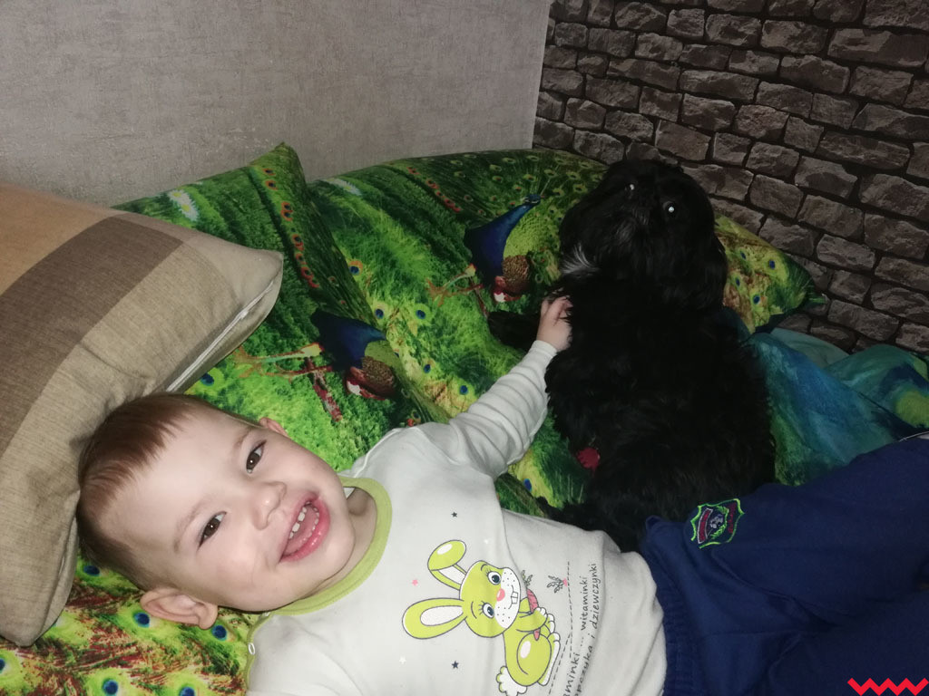 Konkurs „Ja i mój pupil” dobiega końca. Głosujcie na zdjęcia swoich fawortyów!