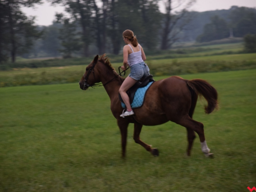 Noc Kupały w Pakszynie, czyli tradycja, która integruje ludzi