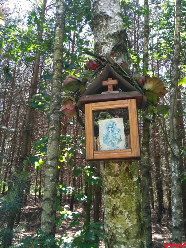 Wędrówka do Jerozolimy przerwana. Pielgrzym trafił do szpitala