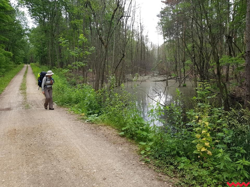 Wędrówka do Jerozolimy przerwana. Pielgrzym trafił do szpitala