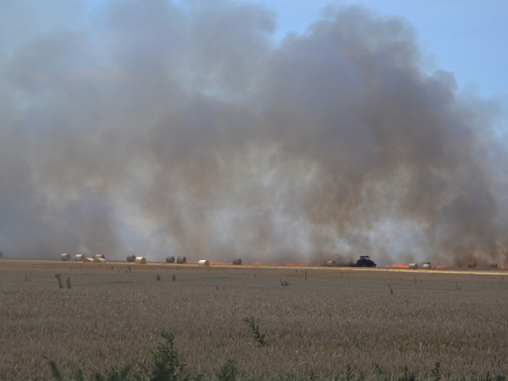 Pożar zboża na polach na kilku hektarach przy Nekli. Interweniowali strażacy i rolnicy