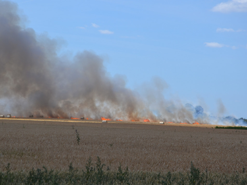 Pożar zboża na polach na kilku hektarach przy Nekli. Interweniowali strażacy i rolnicy