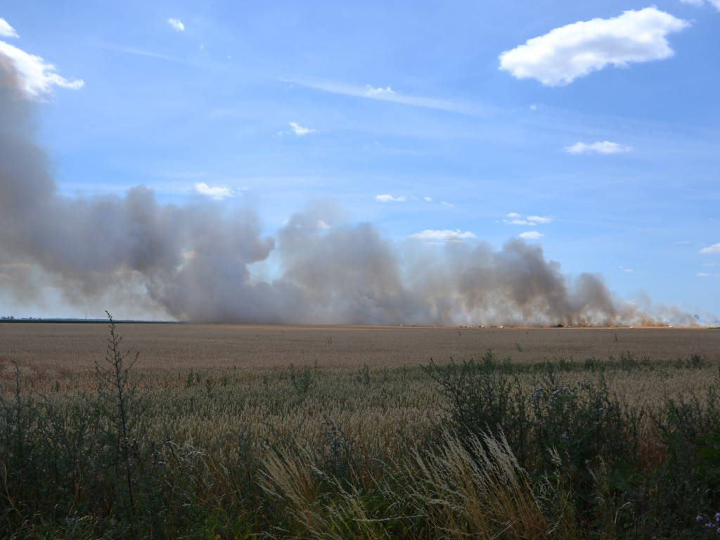 Pożar zboża na polach na kilku hektarach przy Nekli. Interweniowali strażacy i rolnicy