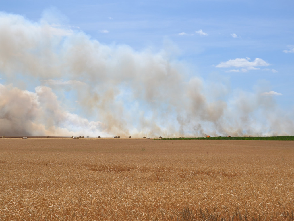Pożar zboża na polach na kilku hektarach przy Nekli. Interweniowali strażacy i rolnicy