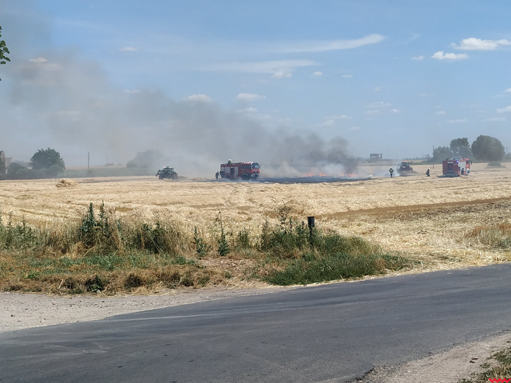 Pożar zboża na polach na kilku hektarach przy Nekli. Interweniowali strażacy i rolnicy