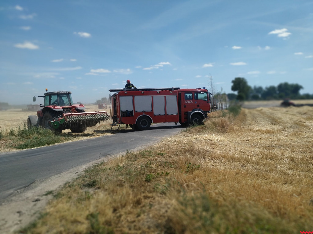Pożar zboża na polach na kilku hektarach przy Nekli. Interweniowali strażacy i rolnicy