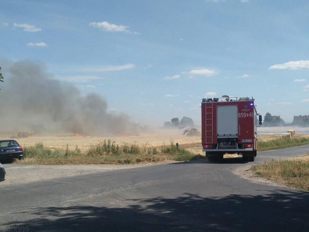Pożar zboża na polach na kilku hektarach przy Nekli. Interweniowali strażacy i rolnicy