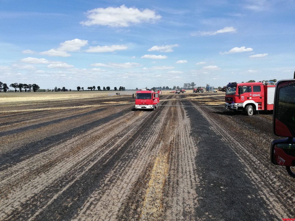 Pożar zboża na polach na kilku hektarach przy Nekli. Interweniowali strażacy i rolnicy