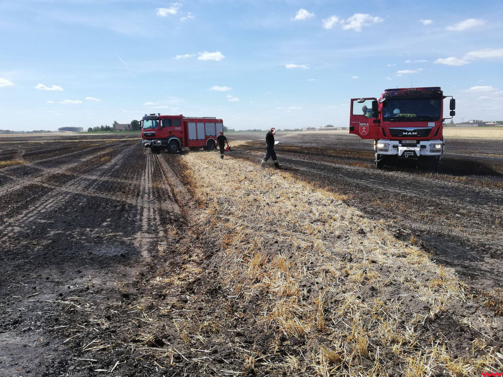 Pożar zboża na polach na kilku hektarach przy Nekli. Interweniowali strażacy i rolnicy