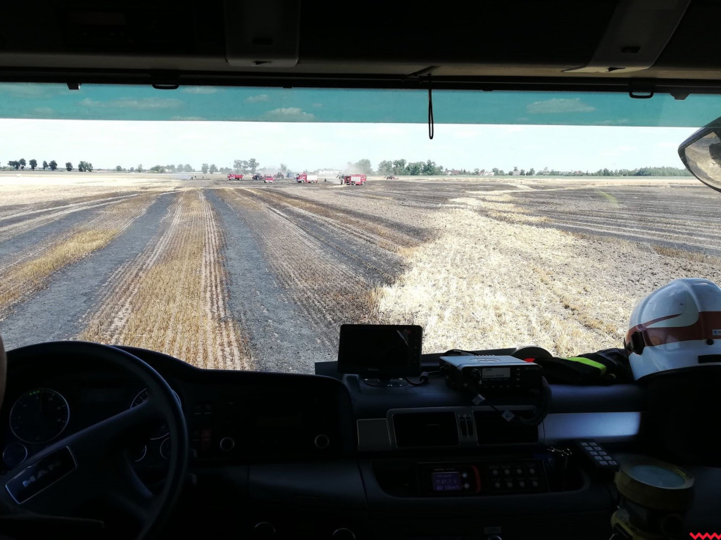 Pożar zboża na polach na kilku hektarach przy Nekli. Interweniowali strażacy i rolnicy