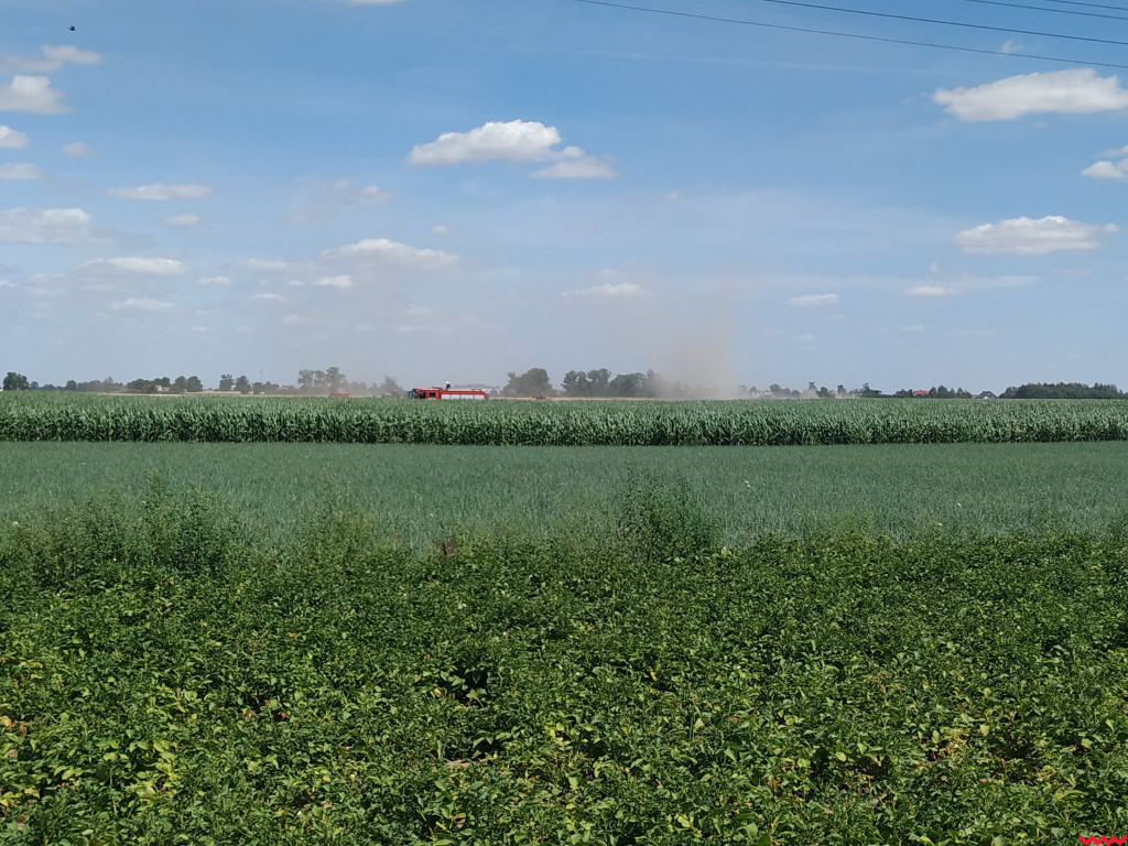 Pożar zboża na polach na kilku hektarach przy Nekli. Interweniowali strażacy i rolnicy