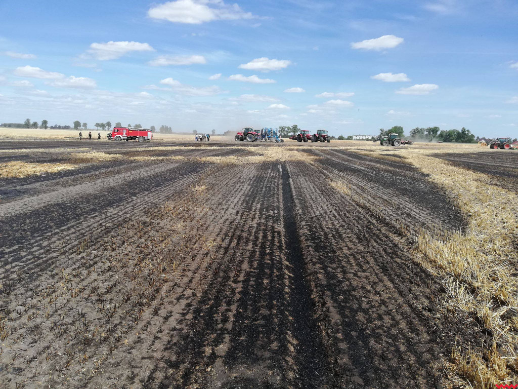Pożar zboża na polach na kilku hektarach przy Nekli. Interweniowali strażacy i rolnicy