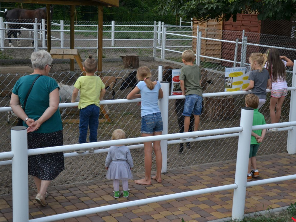 Ośrodek Na Skraju Lasu wzbogacił się o minizoo i restaurację