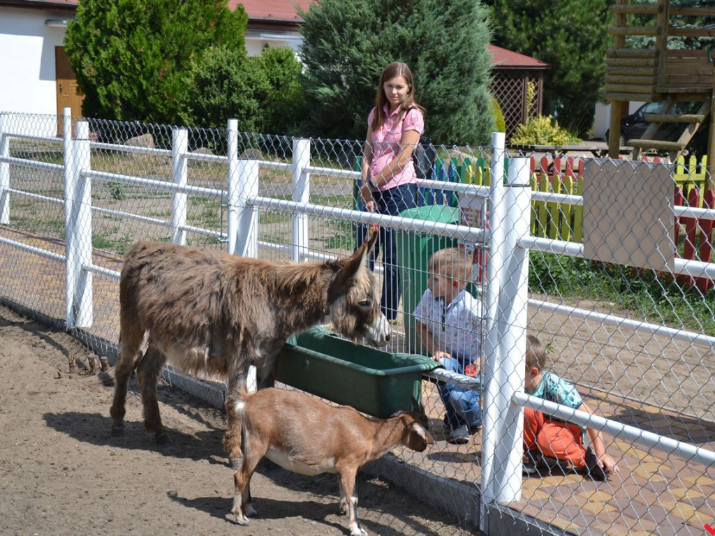 Ośrodek Na Skraju Lasu wzbogacił się o minizoo i restaurację