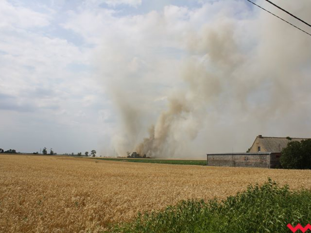 Słup dymu na Wrześnią. To pożar zboża w Chociczy Wielkiej