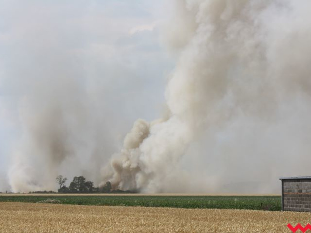 Słup dymu na Wrześnią. To pożar zboża w Chociczy Wielkiej