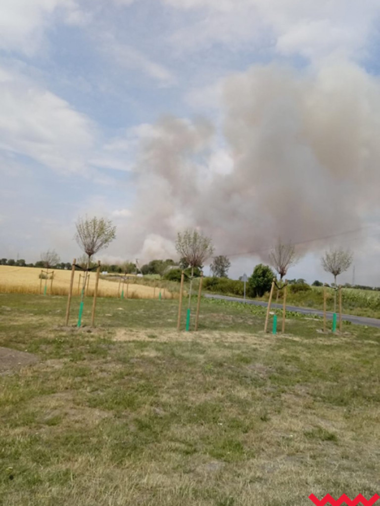 Słup dymu na Wrześnią. To pożar zboża w Chociczy Wielkiej