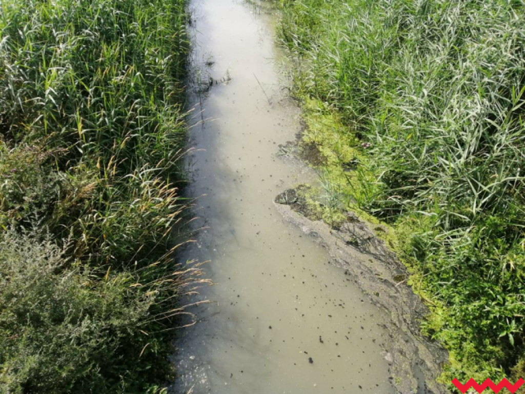 Żybura jak płynęła Wrześnicą tak płynie. Kolejne zanieczyszczenie rzeki
