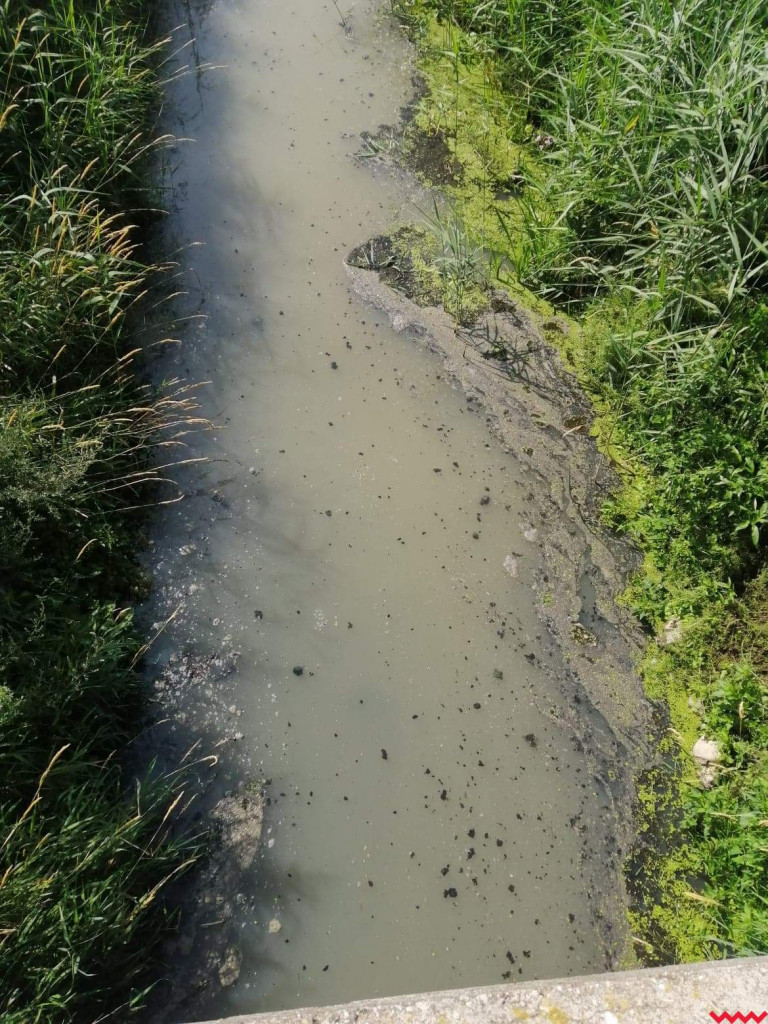 Żybura jak płynęła Wrześnicą tak płynie. Kolejne zanieczyszczenie rzeki